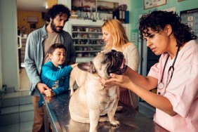 Close up of a young family taking their dog to the veterinarian