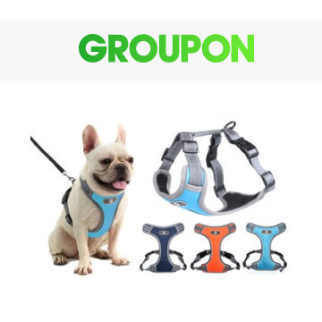 Groupon