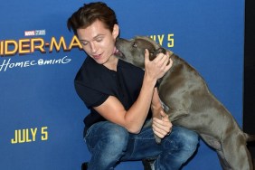 LONDON, ENGLAND - JUNE 15: Tom Holland attends the "Spider-Man : Homecoming" photocall at The Ham Yard Hotel on June 15, 2017 in London, England.