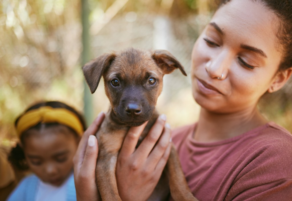 Woman with hands holding puppy in love for adoption outside an animal shelter. 