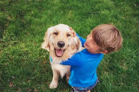 Smiling Boy sitting in garden stroking his Golden Retriever dog