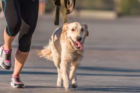 woman running with dog on leash