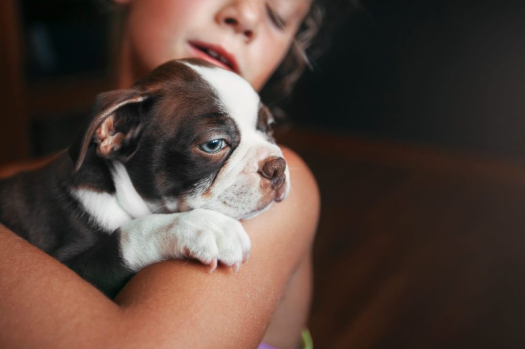 Girl hugging Boston Terrier.