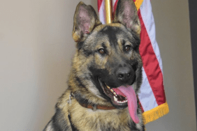 Missouri police K9 death officer charged