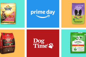 Amazon Prime Day 2024