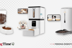 best automatic dog feeders