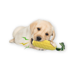 Best Dog Chew Toy by Carlig