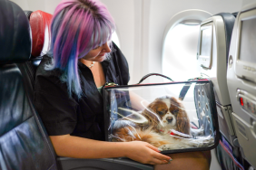 Young woman on airplane with her pet in carry bag